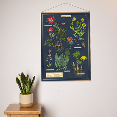פוסטר: Herbarium