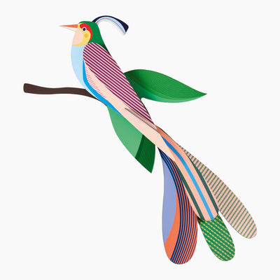 יצירה בנייר : Paradise Bird Maya