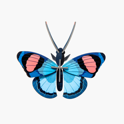 יצירה בנייר : Peacock Butterfly