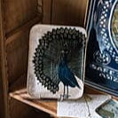 צלוחית: Peacock