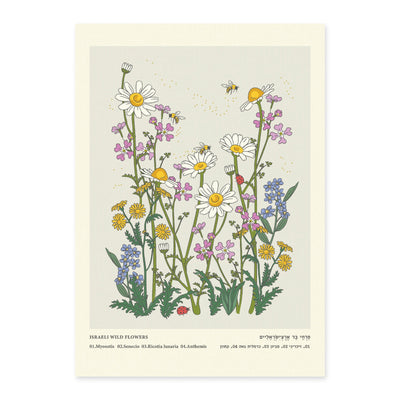 פרינט: Isreal Wild Flowers Pastel  A3 