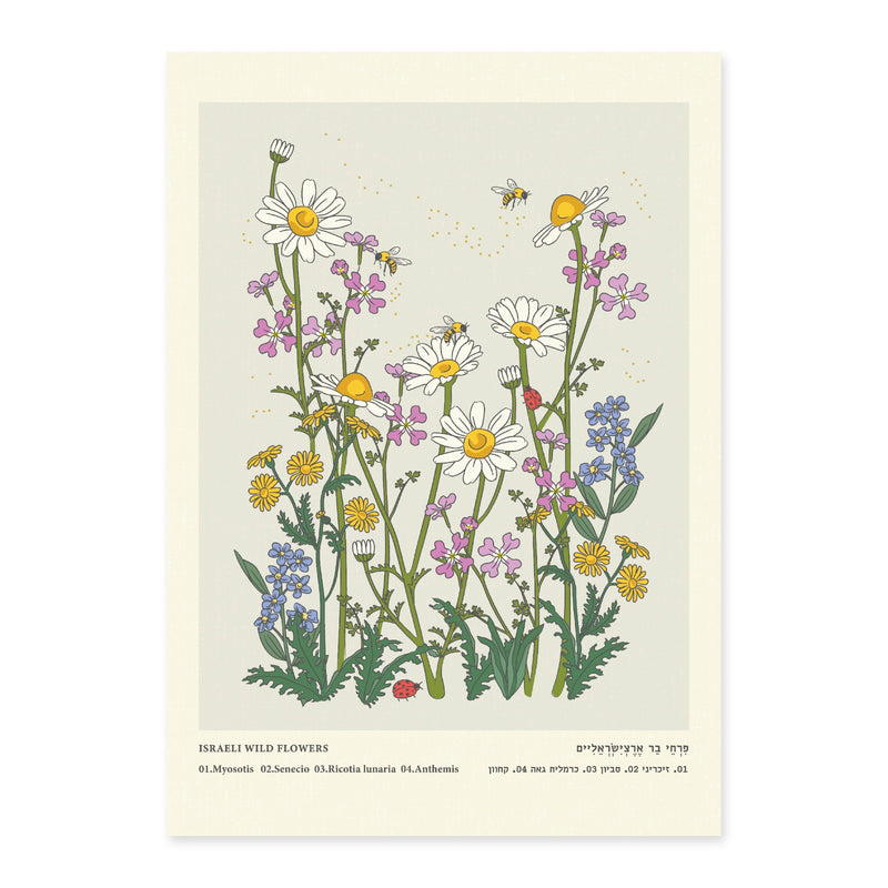 פרינט: Isreal Wild Flowers Pastel  A3 