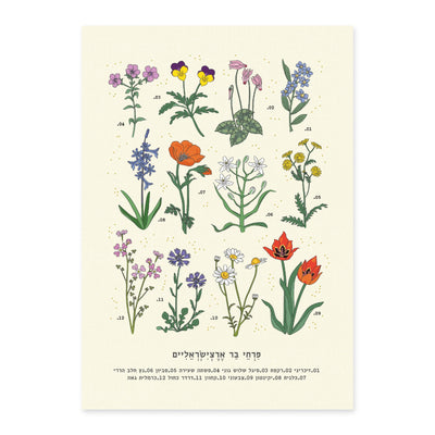 פרינט: Isreal Wild Flowers A3