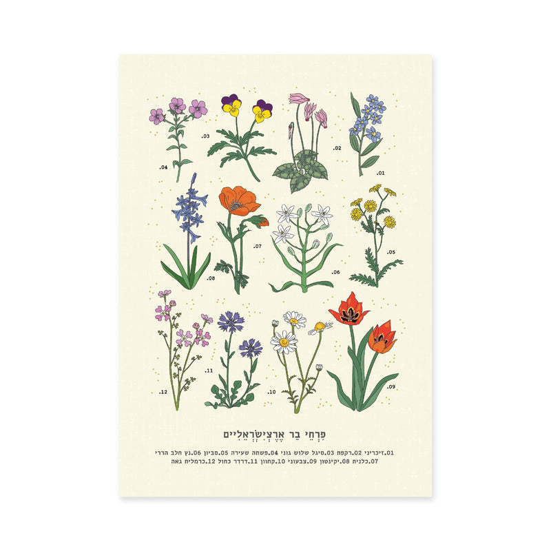 פרינט: Israel Wild Flowers A4 