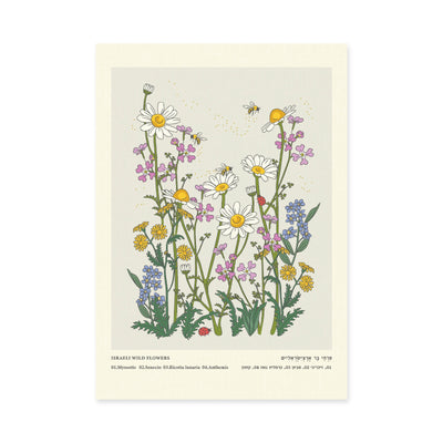 פרינט: Israel Wild Flowers Pastel A4 