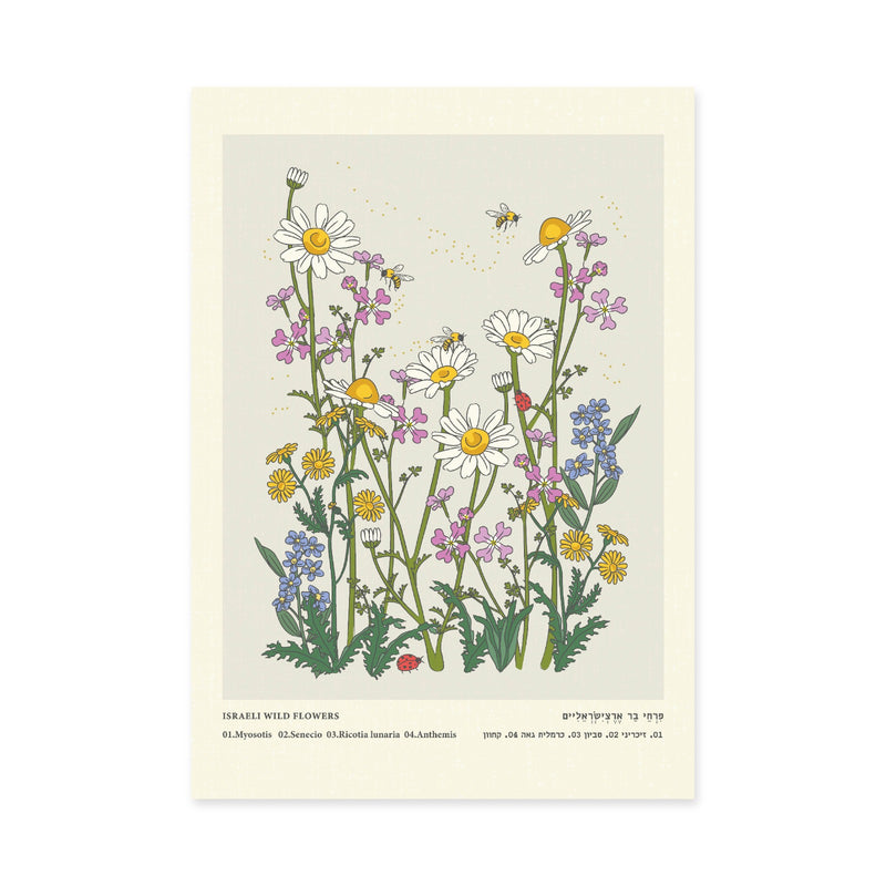 פרינט: Israel Wild Flowers Pastel A4 