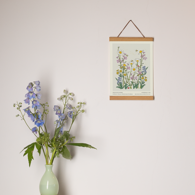פרינט: Israel Wild Flowers Pastel A4