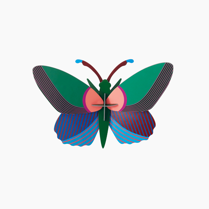 יצירה בנייר : Acacia Butterfly M