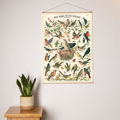 פוסטר: Bird Chart