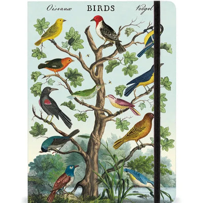 מארז מתנה: Bird Watching
