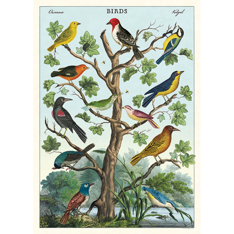 פוסטר: Brids in a Tree