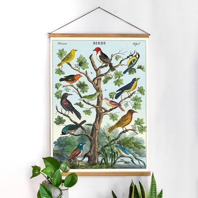 פוסטר: Birds on a Tree