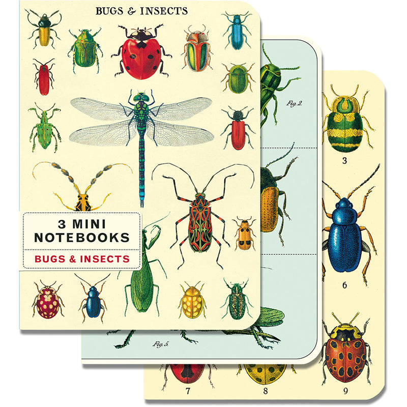 3 מחברות מיני : Bugs & Insects