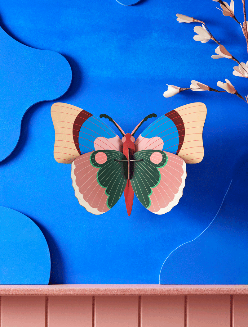 יצירה בנייר : Cepora Butterfly L