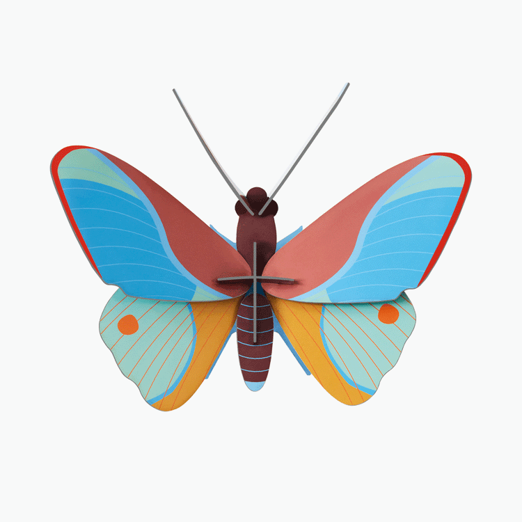 יצירה בנייר : Claudina Butterfly S