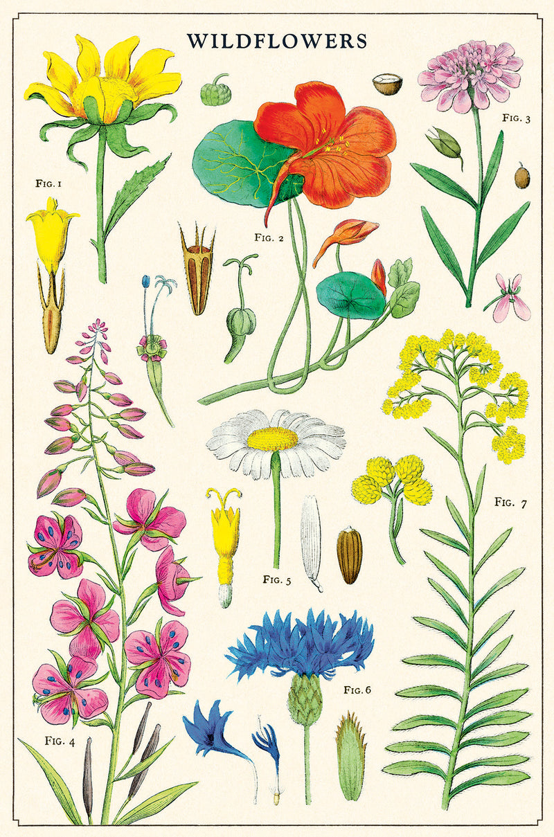 מארז גלויות בקופסת פח : Wildflowers 2