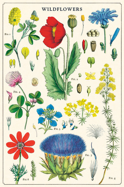 מארז גלויות בקופסת פח : Wildflowers 2