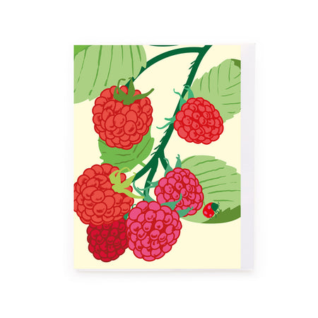 כרטיס ברכה : Raspberries