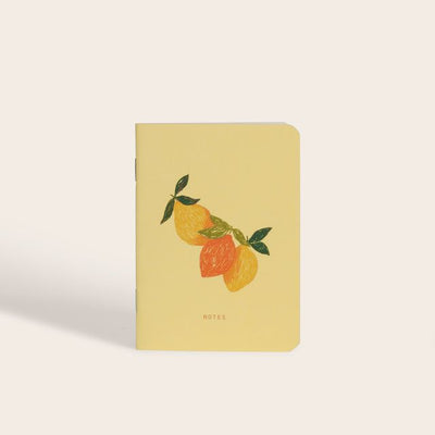 פנקס: Limonata