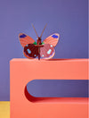 יצירה בנייר : Delias Butterfly S