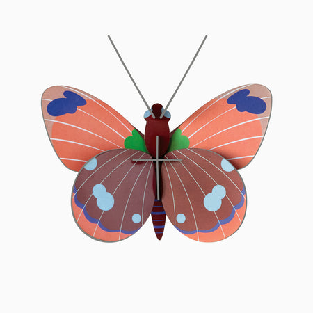 יצירה בנייר : Delias Butterfly S