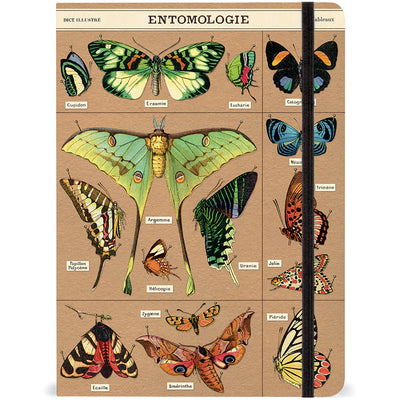 מארז מתנה: Butterflies