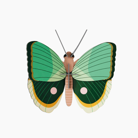 יצירה בנייר : Fern Striped Butterfly S