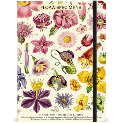 מארז מתנה: Flora Specimens