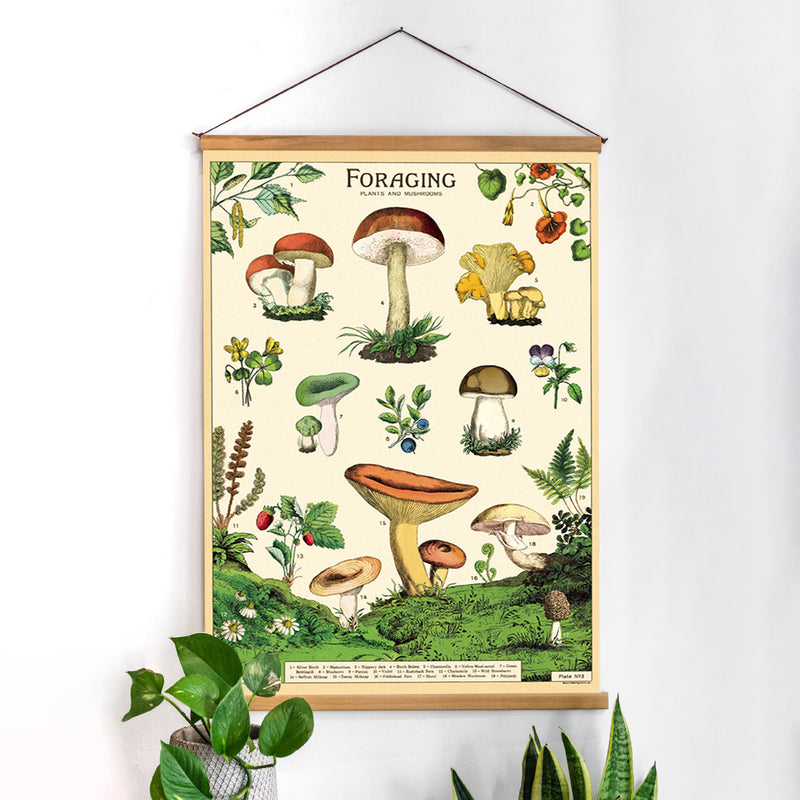 פוסטר: Foraging