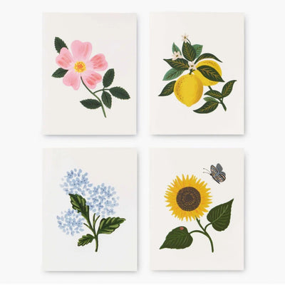 מארז 8 כרטיסי ברכה: Botanical Blossom