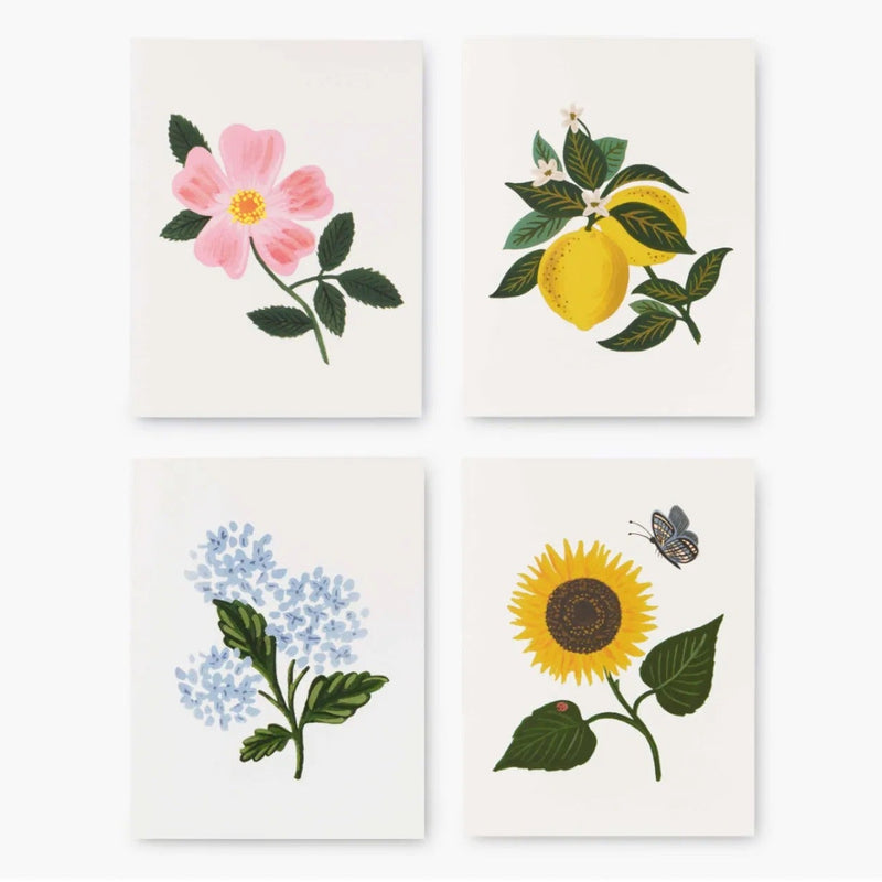 מארז 8 כרטיסי ברכה: Botanical Blossom