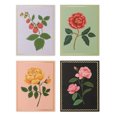 מארז 8 כרטיסי ברכה: Roses