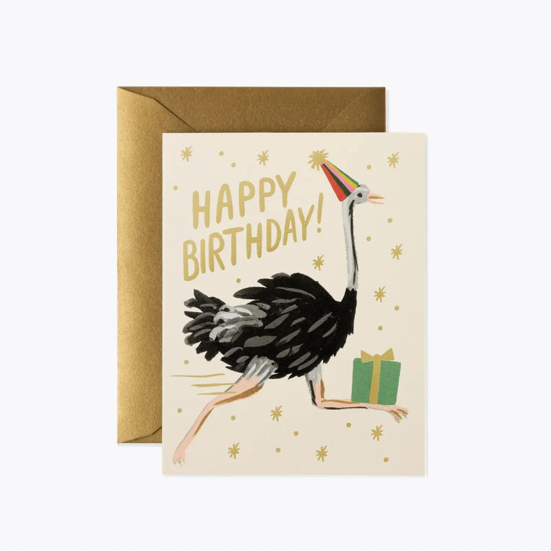8 כרטיסי ברכה : Ostrich Birthday 