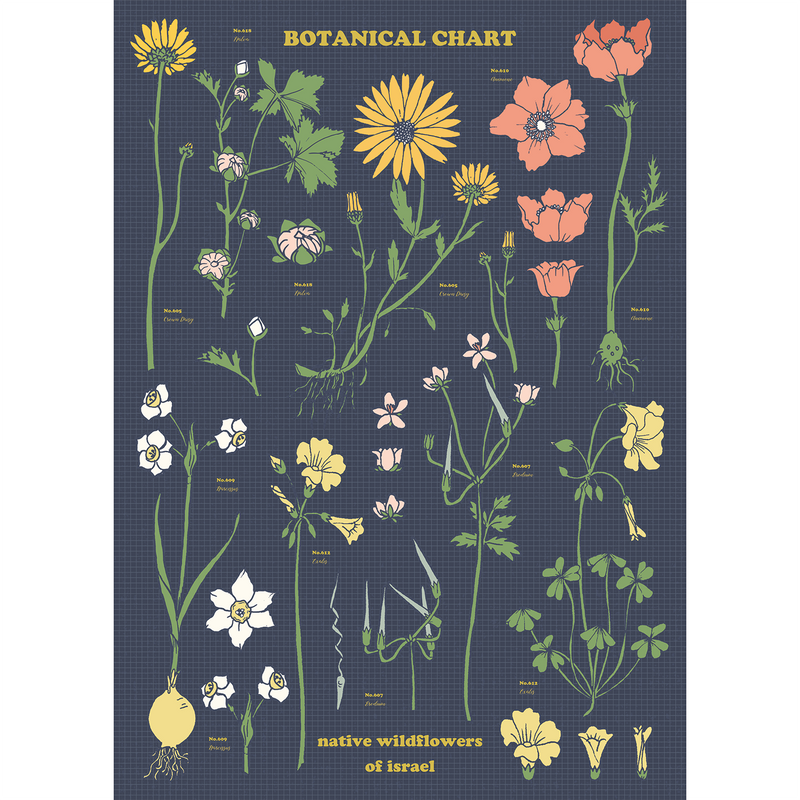 נייר עטיפה : Botanical Chart