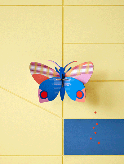 יצירה בנייר : Hapi Butterfly M