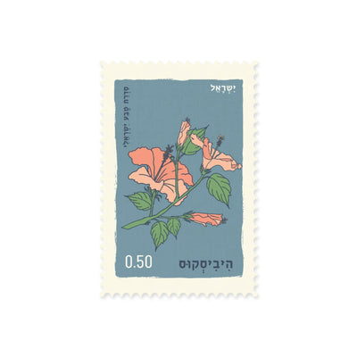 גלויה Hibiscus