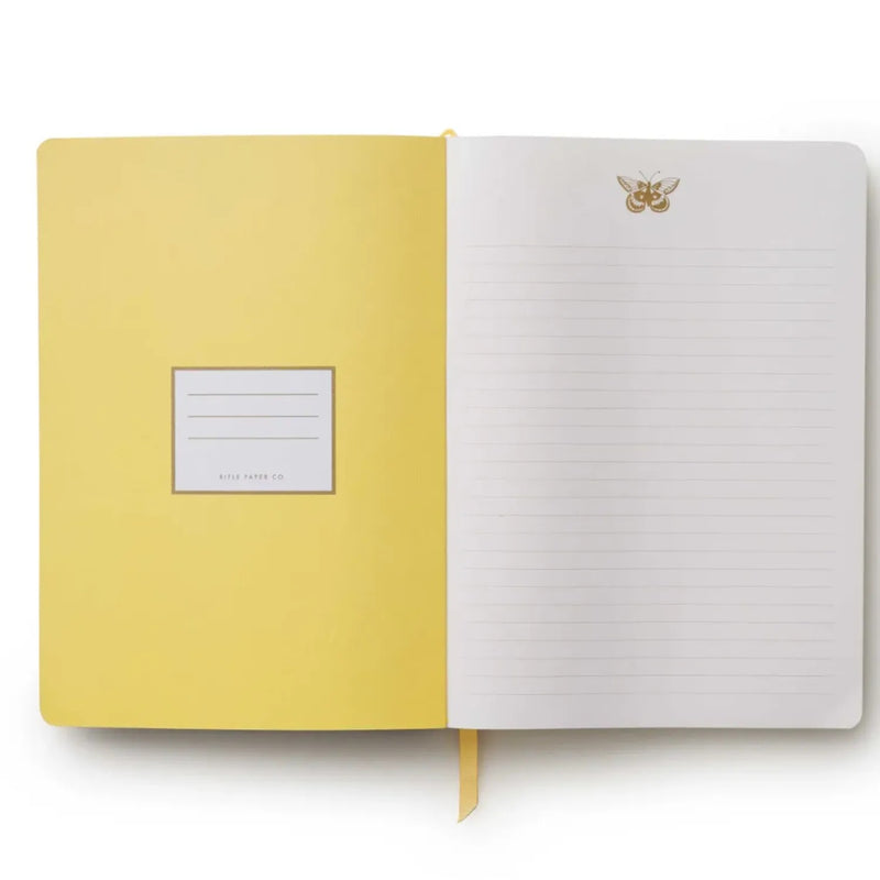 מחברת בכריכה רכה: Curio Butterfly