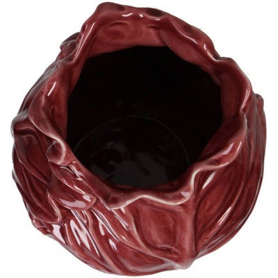 אגרטל: Cabbage Red 