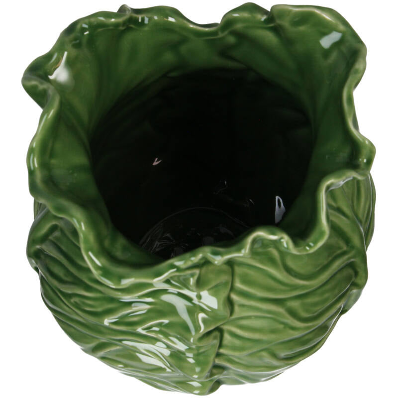 אגרטל: Cabbage Green