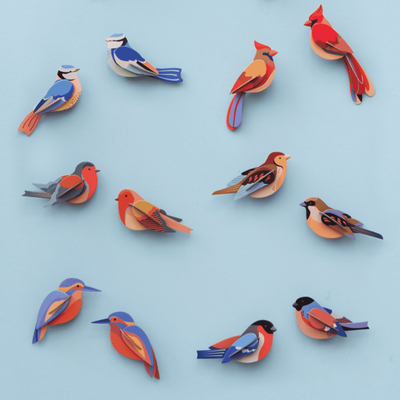 יצירה בנייר: Kingfishers M