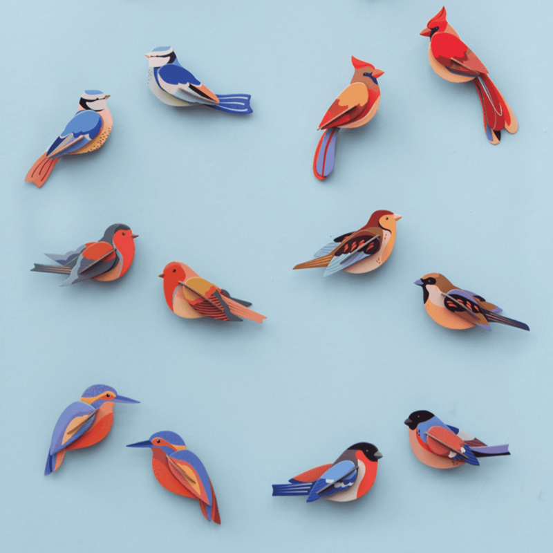 יצירה בנייר: Kingfishers M