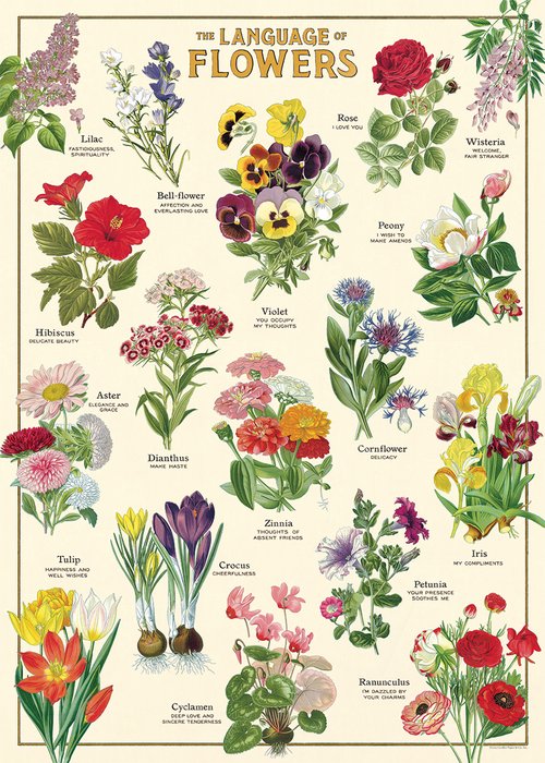 פוסטר: Language of Flowers