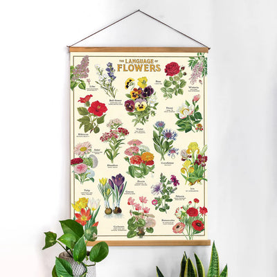 מארז מתנה: Language Of Flowers