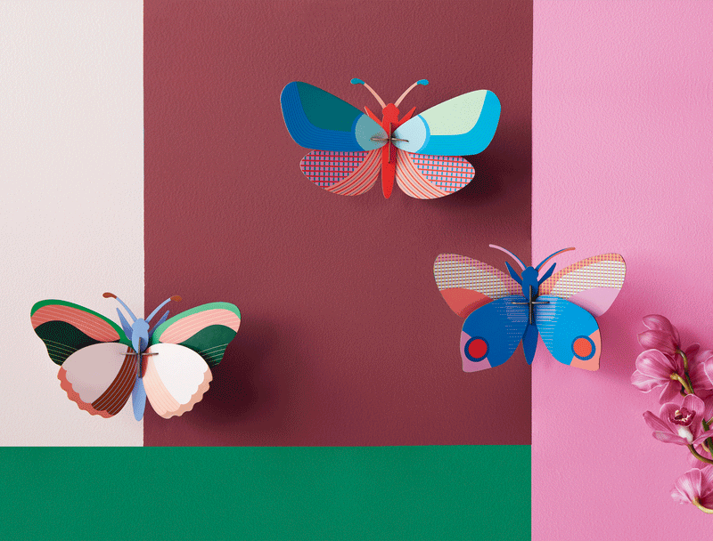 יצירה בנייר : Hapi Butterfly M