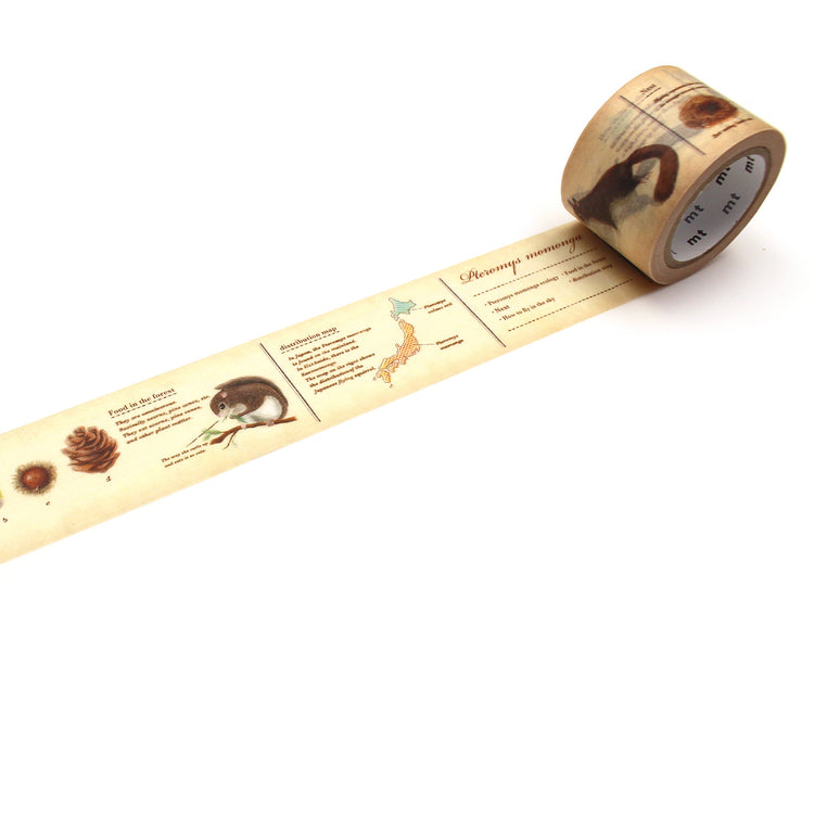 וואשי טייפ רחב : Encyclopedia Flying Squirrel