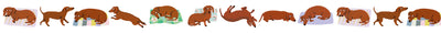 וואשי טייפ: Sausage Dog 