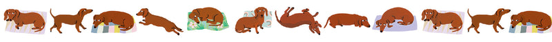 וואשי טייפ: Sausage Dog 
