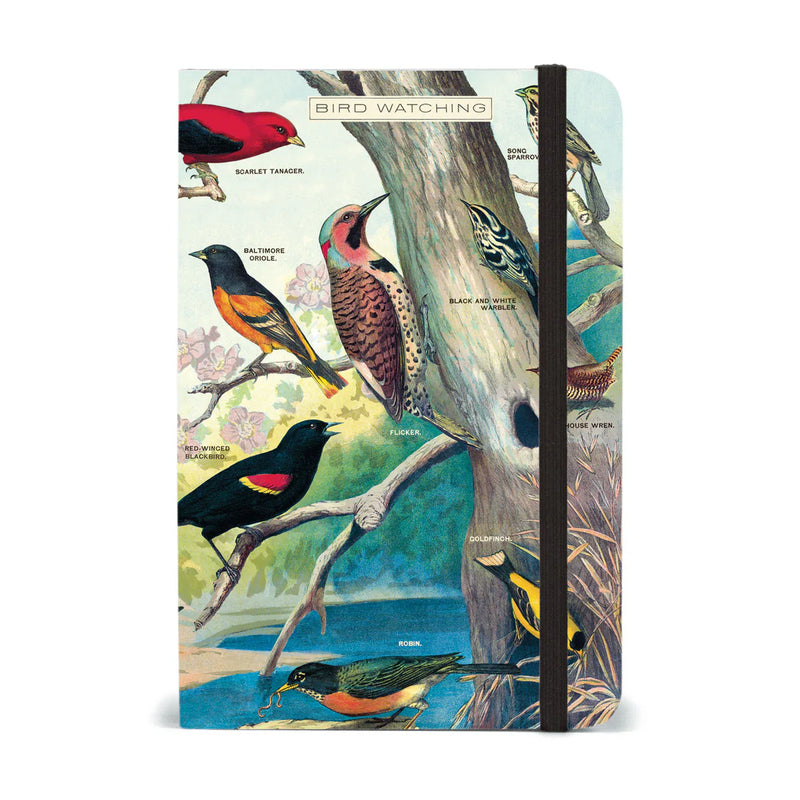 מארז מתנה: Bird Watching