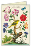 מארז 8 כרטיסי ברכה : Floreale