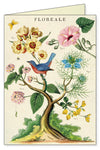 מארז 8 כרטיסי ברכה : Floreale